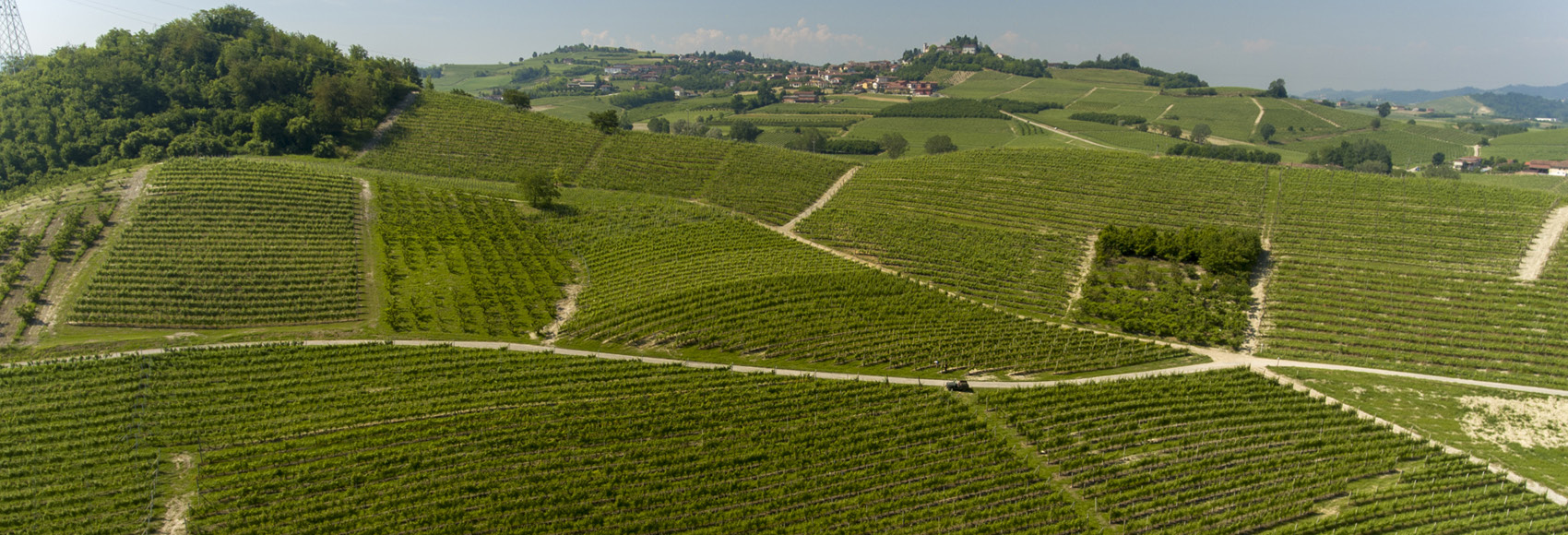 Raffaele Gili Vini - Azienda