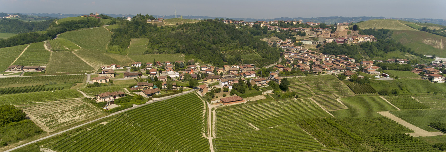 I Vigneti | Raffaele Gili Vini - Azienda