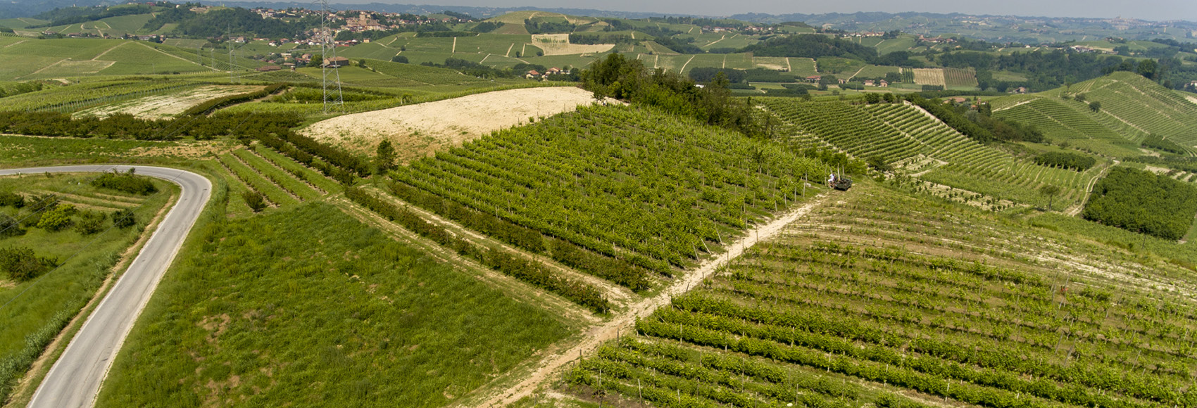 Raffaele Gili Vini - Azienda